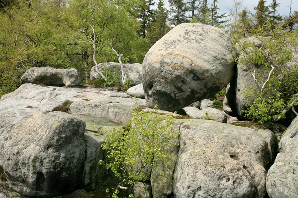 Formations Rocheuses Szczeliniec Wielki Dans Les Montagnes Stolowe Chaîne Des — Photo