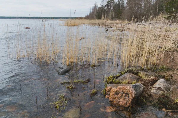 Shore Northern Lake Karelia — Stock Photo, Image