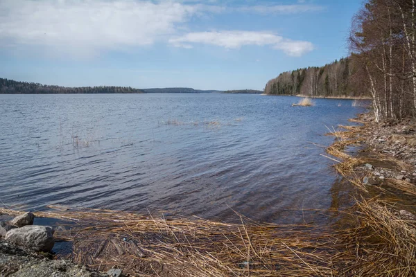 Shore Northern Lake Karelia — Stock Photo, Image