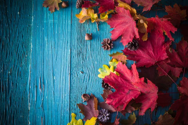 Sfondo Autunnale Con Doni Della Natura Legno — Foto Stock