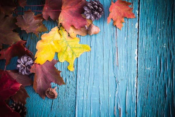 Sfondo Autunnale Con Doni Della Natura Legno — Foto Stock