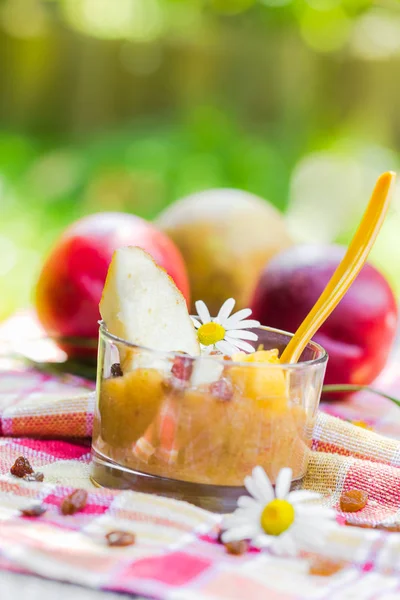 Summer Drink Garden Smoothie Pears Nectarines Raisins — Stock Photo, Image
