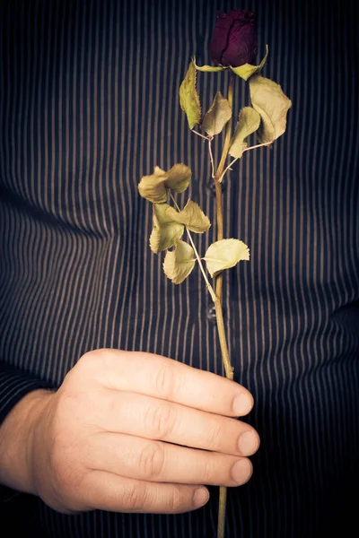 Man Een Overhemd Met Een Roos Zijn Hand — Stockfoto