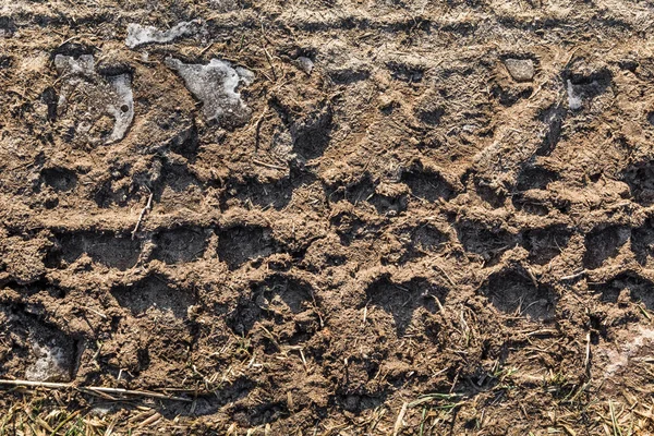 凍った地面にタイヤのトレッド パターン — ストック写真