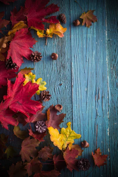 Осенний Фон Дарами Природы Дереве — стоковое фото