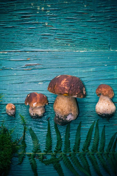 Composition Automne Bolet Sur Une Table Bois — Photo