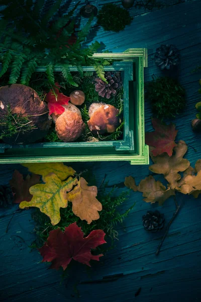 Autumn Forest Composition Mushrooms Basket — Stock Photo, Image