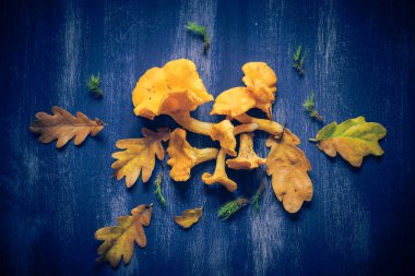 Geri çekilin. Kıvırcık bukleler ve sonbahar hediyeleri mavi tahta üzerinde.