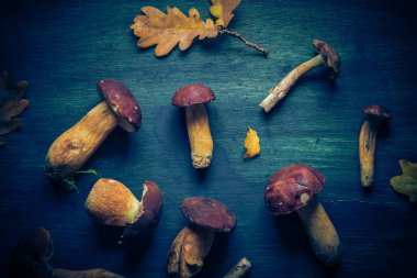 Geri çekilin. Kıvırcık bukleler ve sonbahar hediyeleri mavi tahta üzerinde.