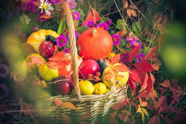 Bir sepet meyve. Bahçe sonbaharda