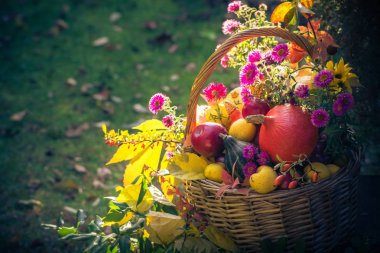 Bir sepet meyve. Bahçe sonbaharda