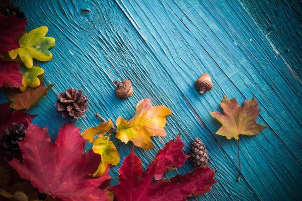 Hösten Bakgrund Med Gåvor Naturen Trä — Stockfoto