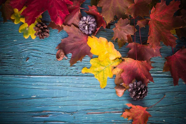 木の自然の贈り物と秋の背景 — ストック写真