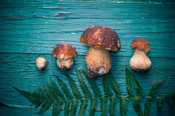 Hösten Sammansättning Boletus Ett Träbord — Stockfoto