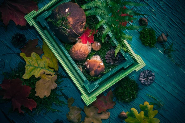 Autumn Forest Composition Mushrooms Basket — Stock Photo, Image