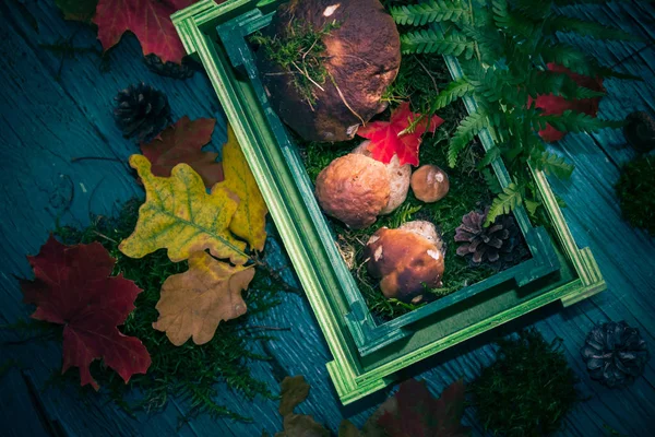 Composition Forêt Automne Avec Champignons Dans Panier — Photo