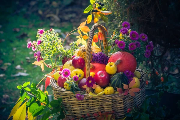 Herbsternte Ein Korb Voller Früchte Garten — Stockfoto