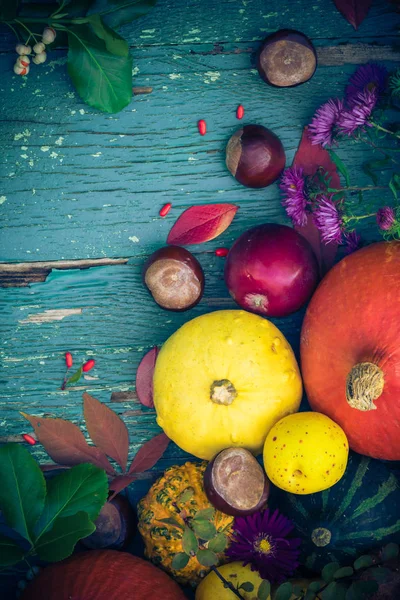 Autumnal Background Fruits Seasonal Crops — Stock Photo, Image