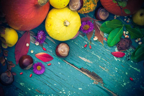 Fond Automnal Avec Fruits Cultures Saisonnières — Photo