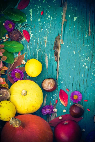 Fundo Outonal Com Frutos Culturas Sazonais — Fotografia de Stock