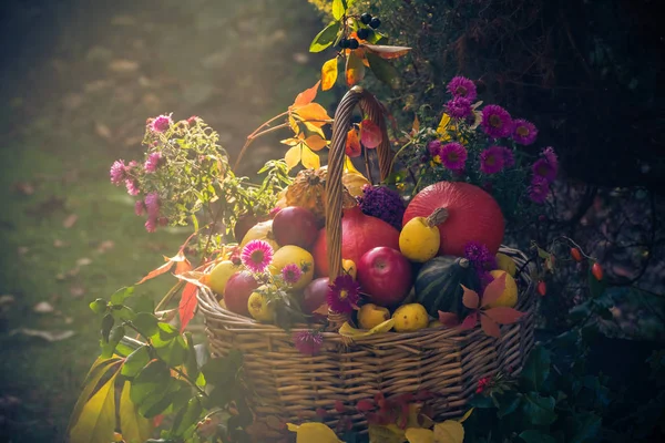 Ein Korb Voller Früchte Einem Herbstlichen Garten Einem Mystischen Licht — Stockfoto