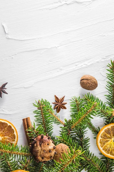 Weihnachten Weißer Hintergrund Mit Frischen Zweigen Von Nadelholz Und Getrockneten — Stockfoto