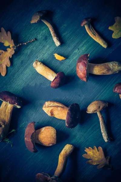 秋の背景青い木の板にカールと秋の贈り物 — ストック写真
