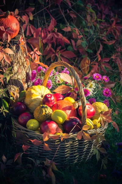 Fruta Num Cesto Outono Jardim — Fotografia de Stock