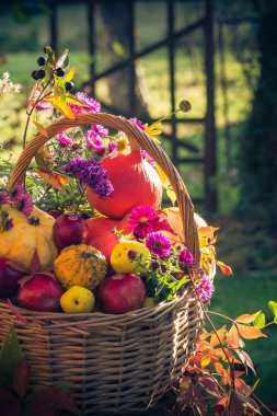 Bir sepet meyve. Bahçe sonbaharda