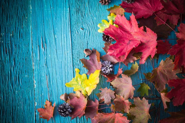 Fondo Otoño Con Regalos Naturaleza Madera — Foto de Stock