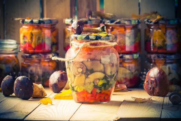 秋丰收 罐中蔬菜腌制蘑菇 — 图库照片