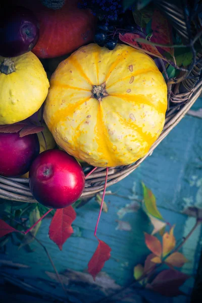 紅葉の背景に果物 季節の作物 — ストック写真