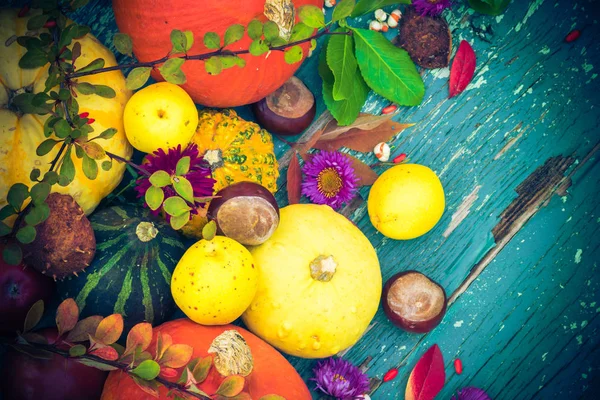 秋季背景水果和季节性作物 — 图库照片