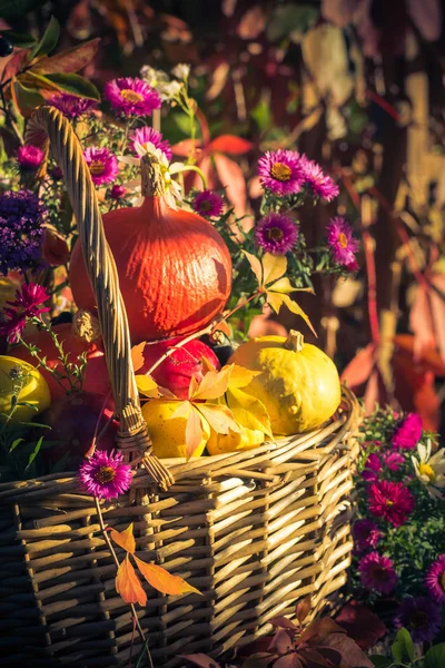 Säsongen Trädgården Korg Med Frukt Gåvor Hösten — Stockfoto