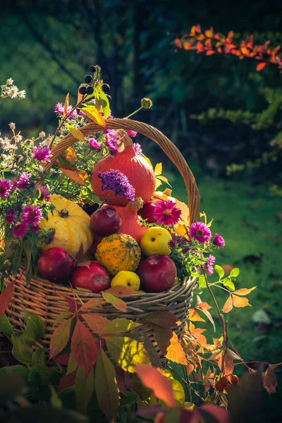 Saison Dans Jardin Panier Avec Des Cadeaux Fruits Automne — Photo