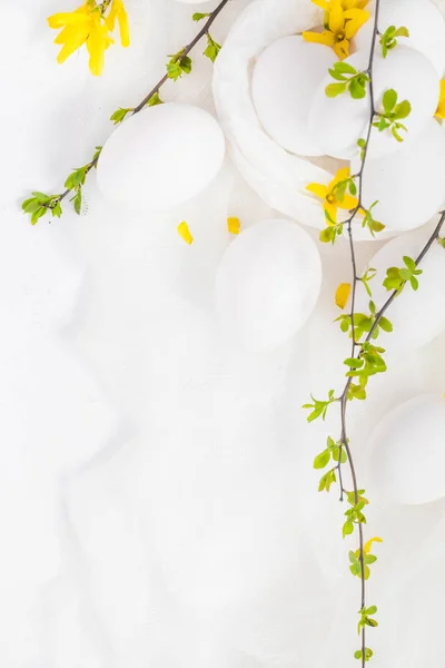 白色的蛋，白色的背景，连翘花绿色的小枝 — 图库照片