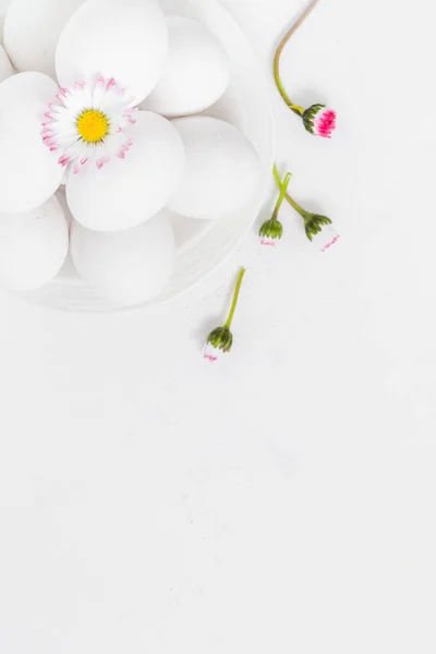 Frühling Ostern Hintergrund mit weißen Eiern Gänseblümchen Blumen — Stockfoto