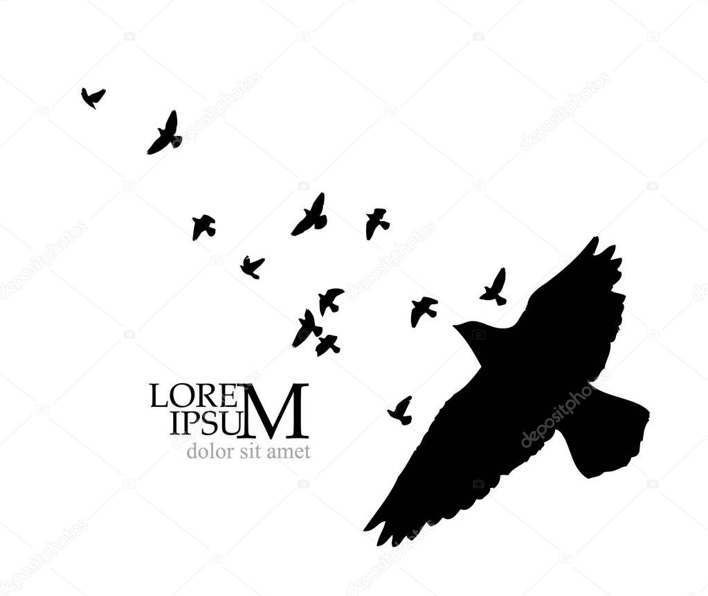 a flock of flying birds. Vector illustration