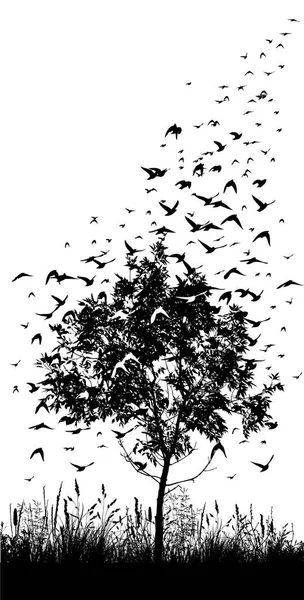 Uçan kuşlarla ağaç. Vektör çizimi — Stok Vektör