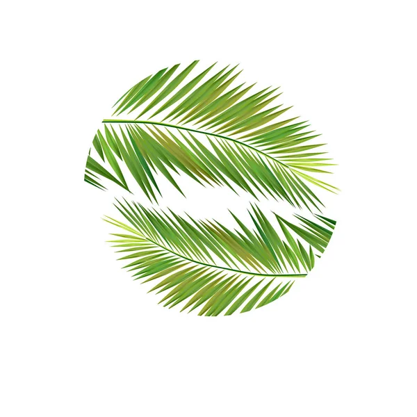 Logo des feuilles de palmier. Illustration vectorielle — Image vectorielle