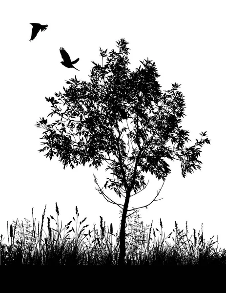 飛ぶ鳥と木のシルエット。ベクトルイラスト — ストックベクタ