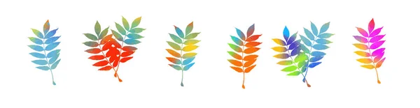 Un conjunto de hojas multicolores. Ilustración vectorial — Vector de stock