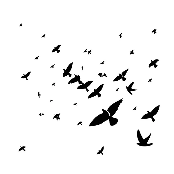 Hejno létajících ptáků. Vektorová ilustrace — Stockový vektor