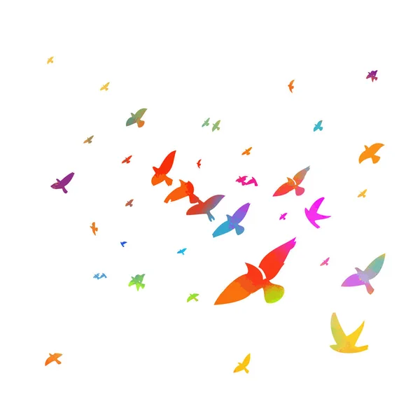 Aves multicolores. Una bandada de aves voladoras del arco iris. Ilustración vectorial — Vector de stock