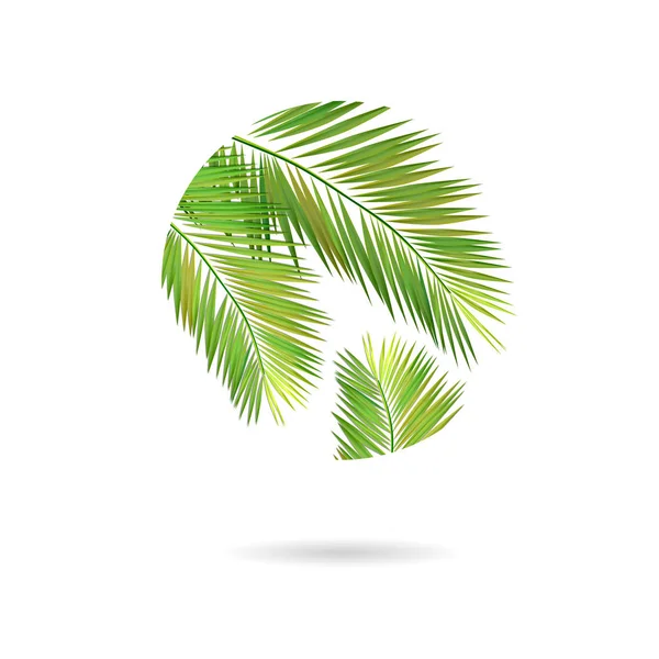 Logo de hojas de palma. Ilustración vectorial — Vector de stock