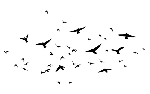 Hejno létajících ptáků. Vektorová ilustrace — Stockový vektor