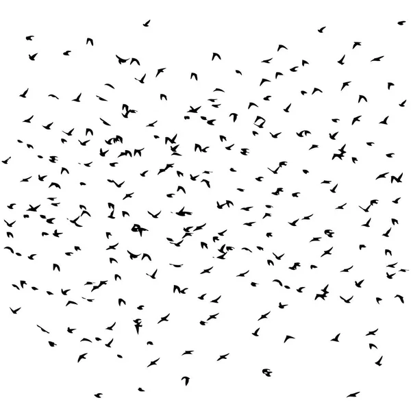 Una bandada de aves voladoras. Ilustración vectorial — Archivo Imágenes Vectoriales