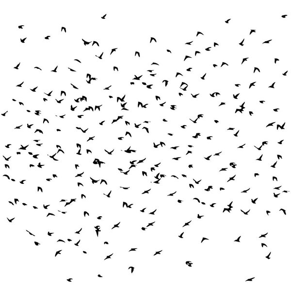 A flock of flying birds. Vector illustration