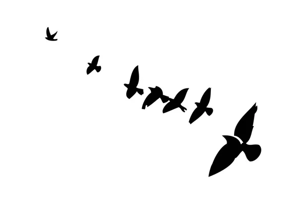 Un troupeau d'oiseaux volants. Illustration vectorielle — Image vectorielle