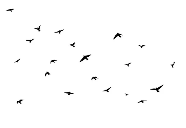 Una bandada de aves voladoras. Ilustración vectorial — Archivo Imágenes Vectoriales